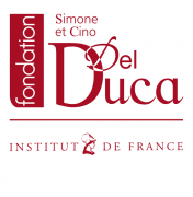 Cino del Luca logo.png